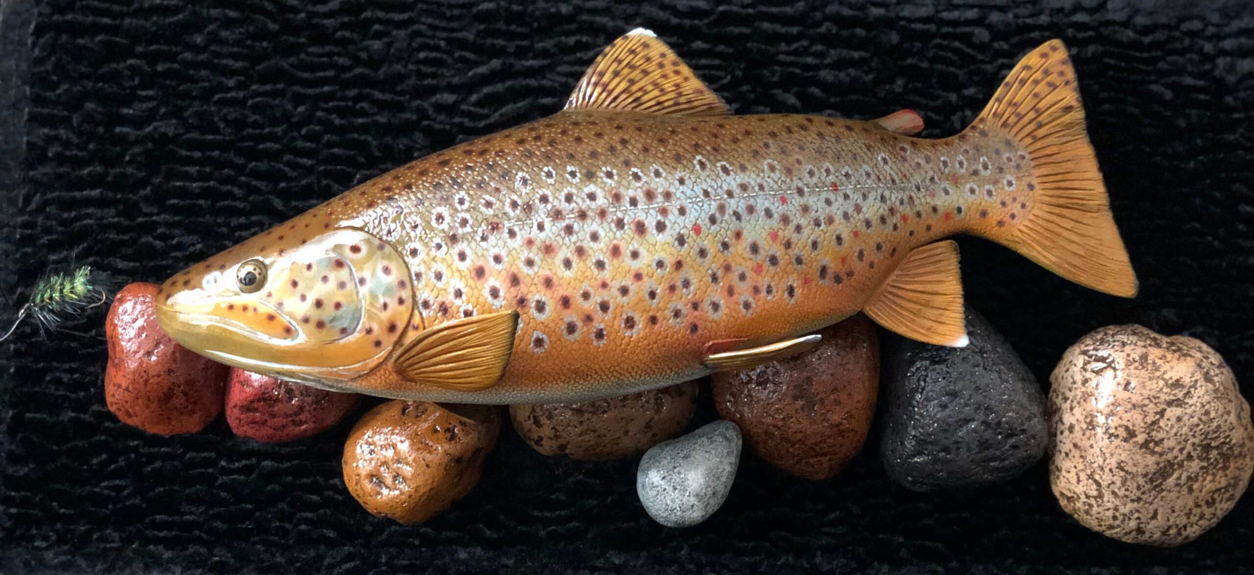 Brown trout