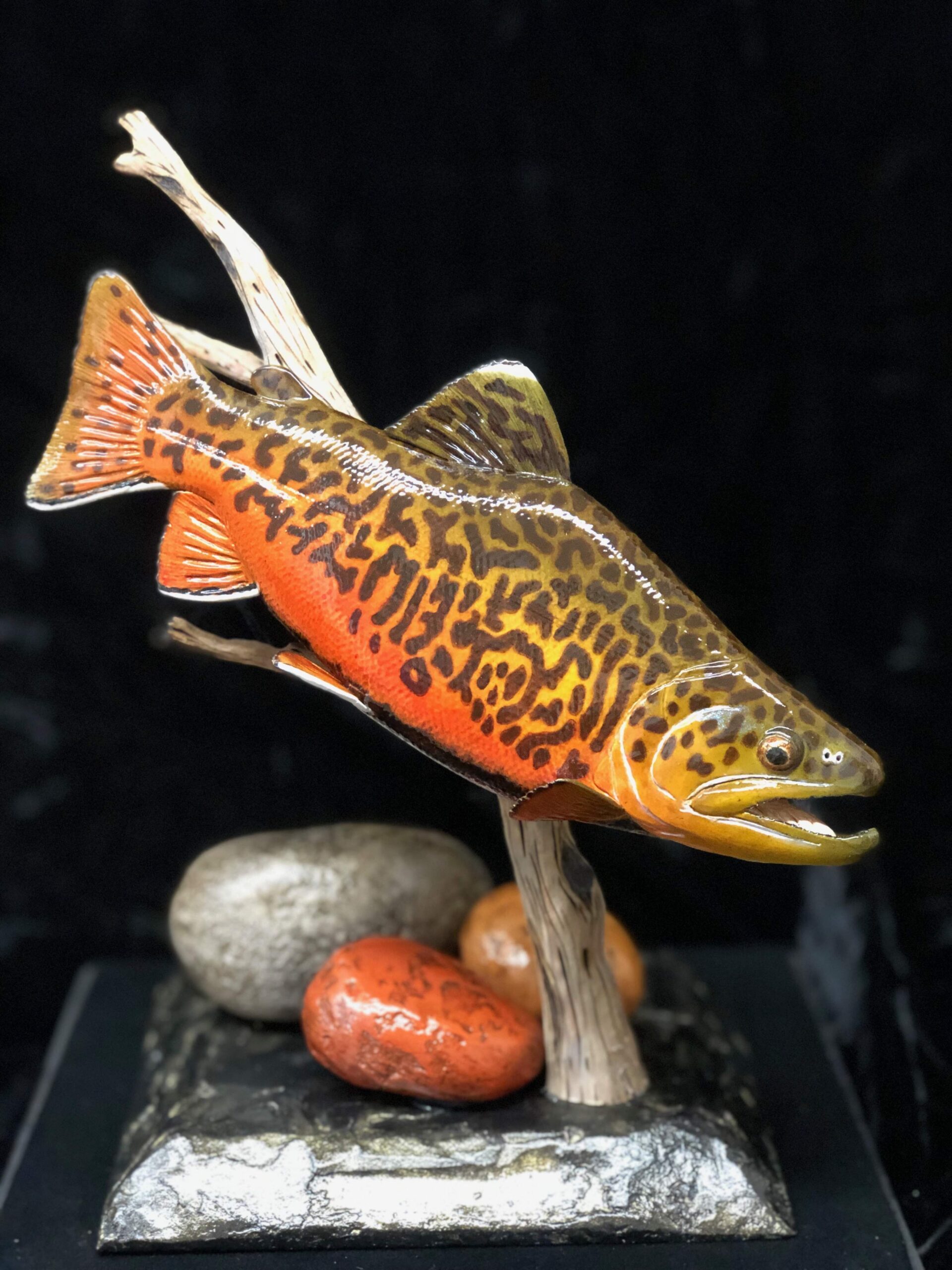 Tiger trout