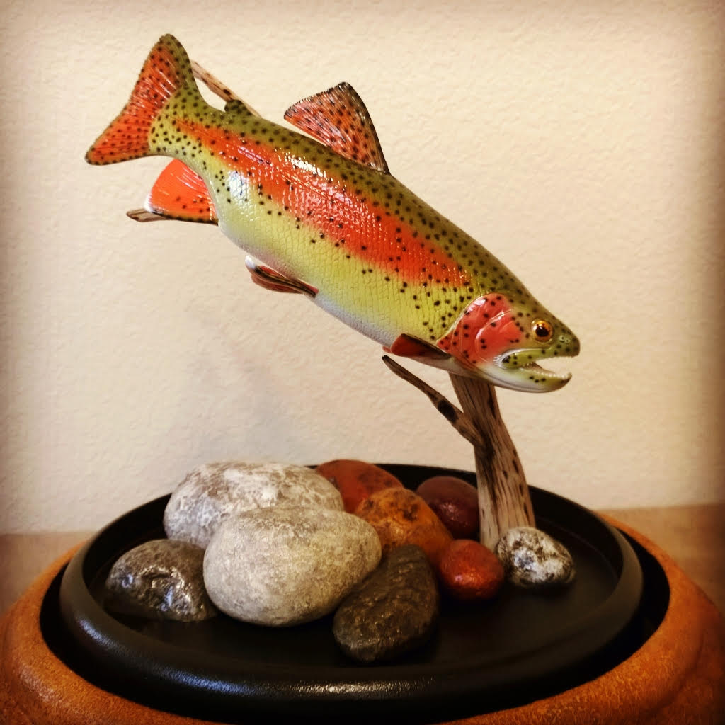Rainbow Trout