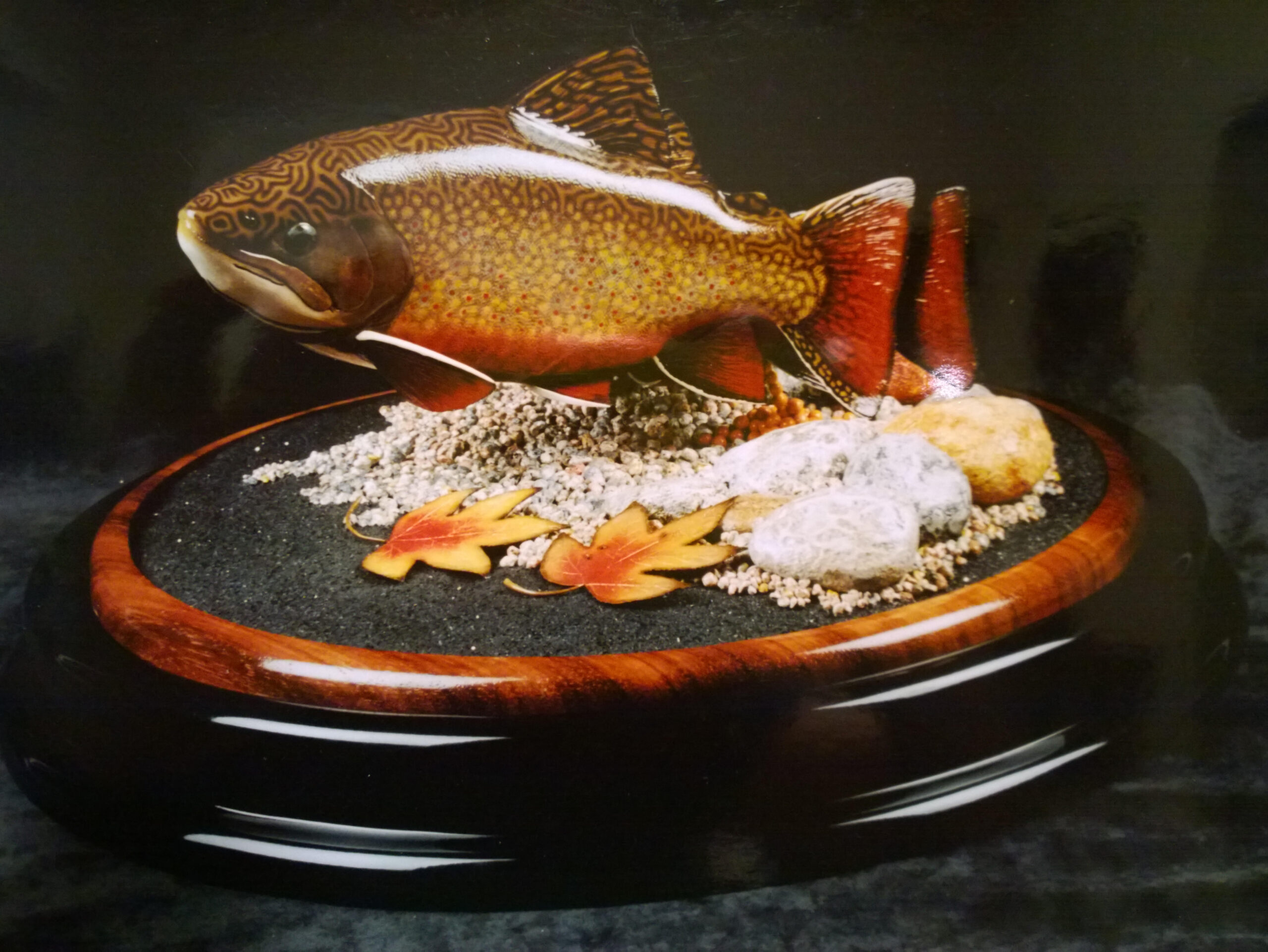 Brook Trout